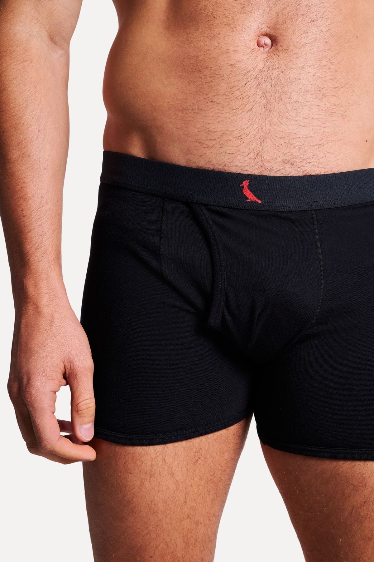 kit 2 cuecas boxer pima