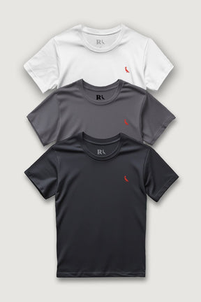kit 3 camisetas básicas brasa pica-pau bordado