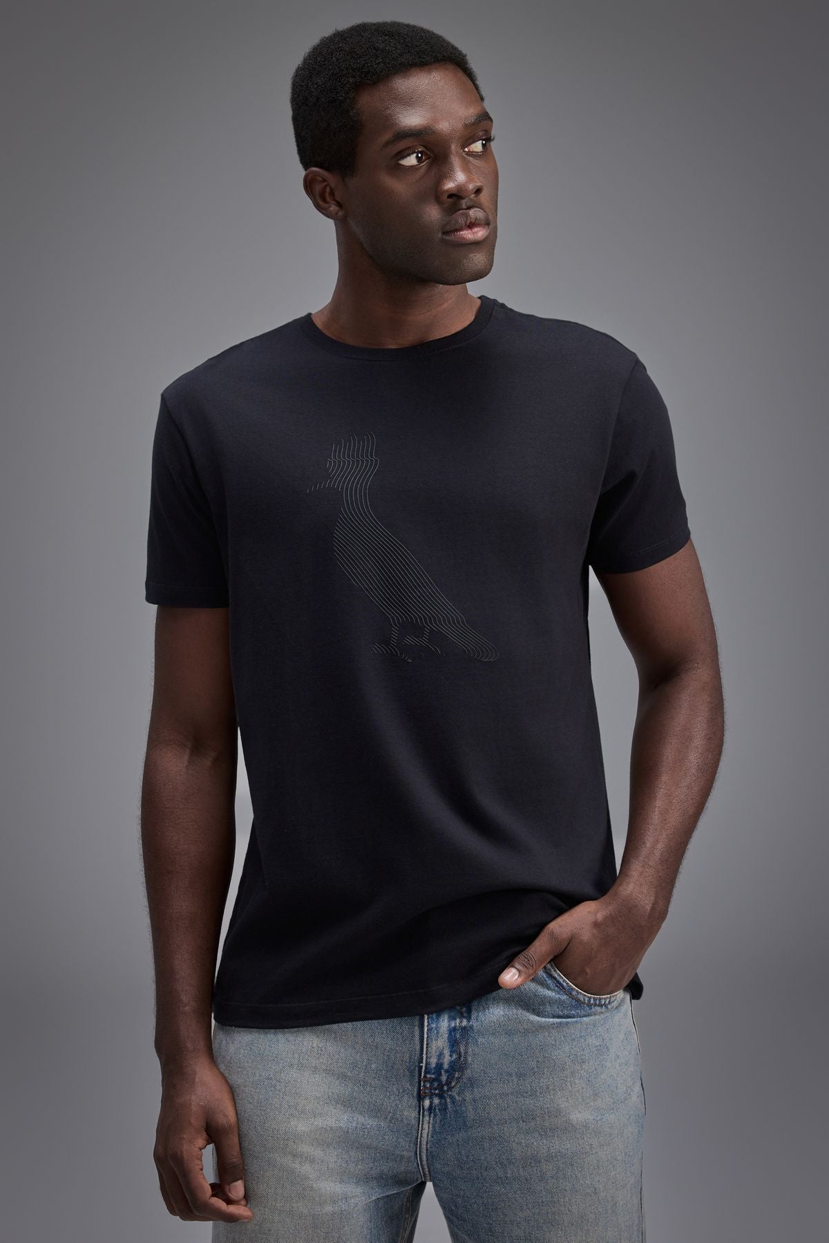 camiseta est pica pau linhas