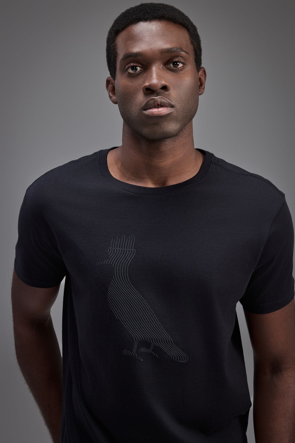 camiseta est pica pau linhas