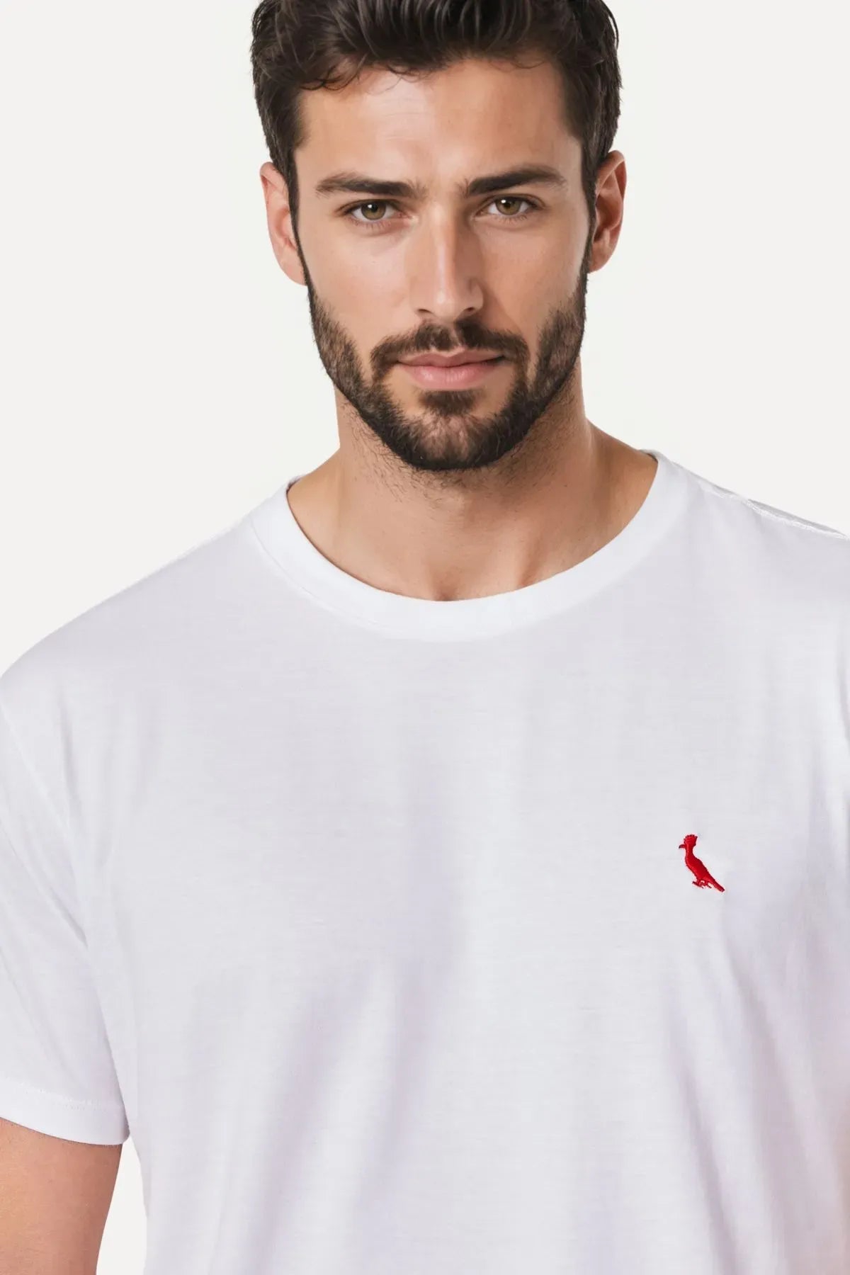 kit 2 camisetas básicas brasa pica-pau bordado