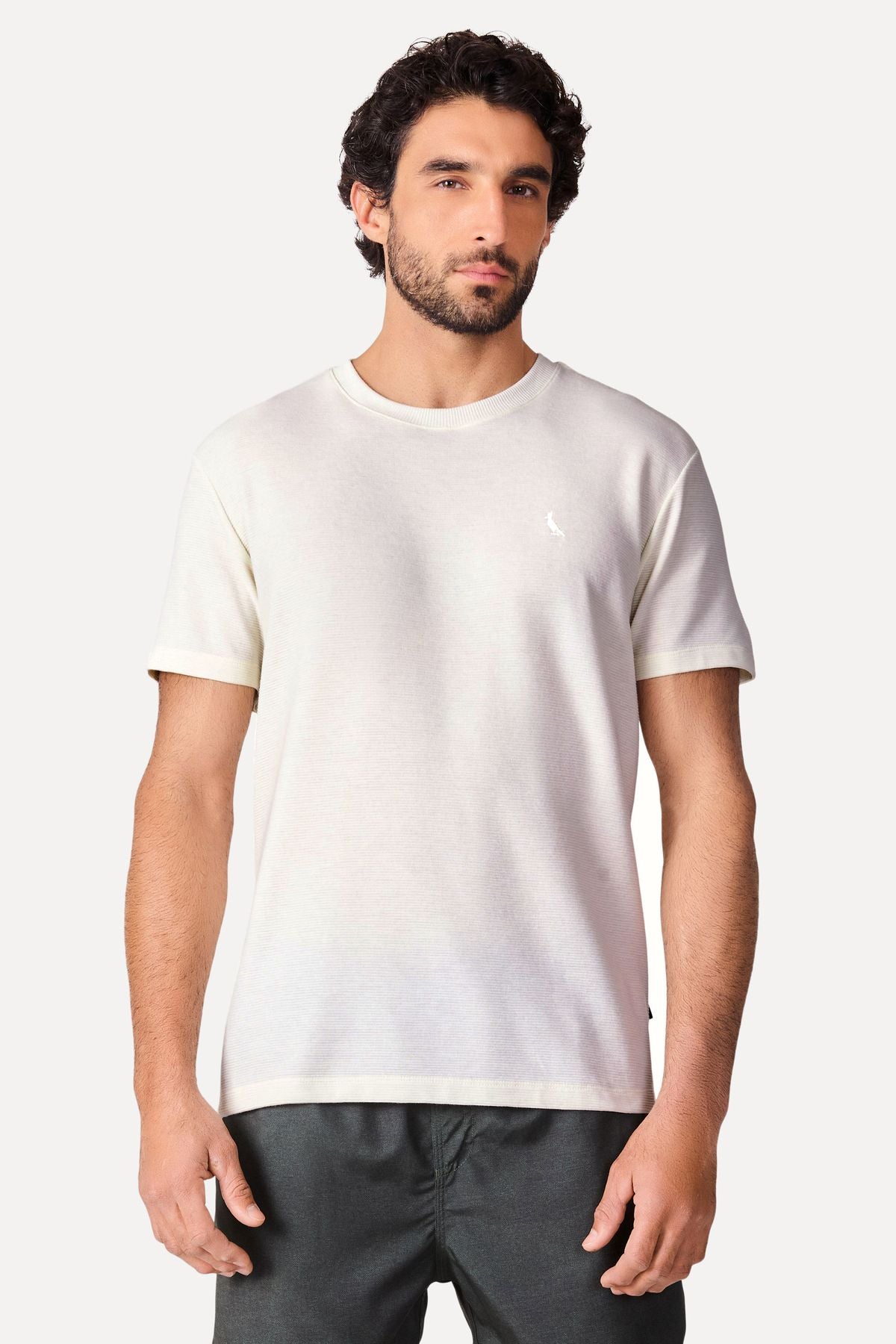 camiseta regular wellen