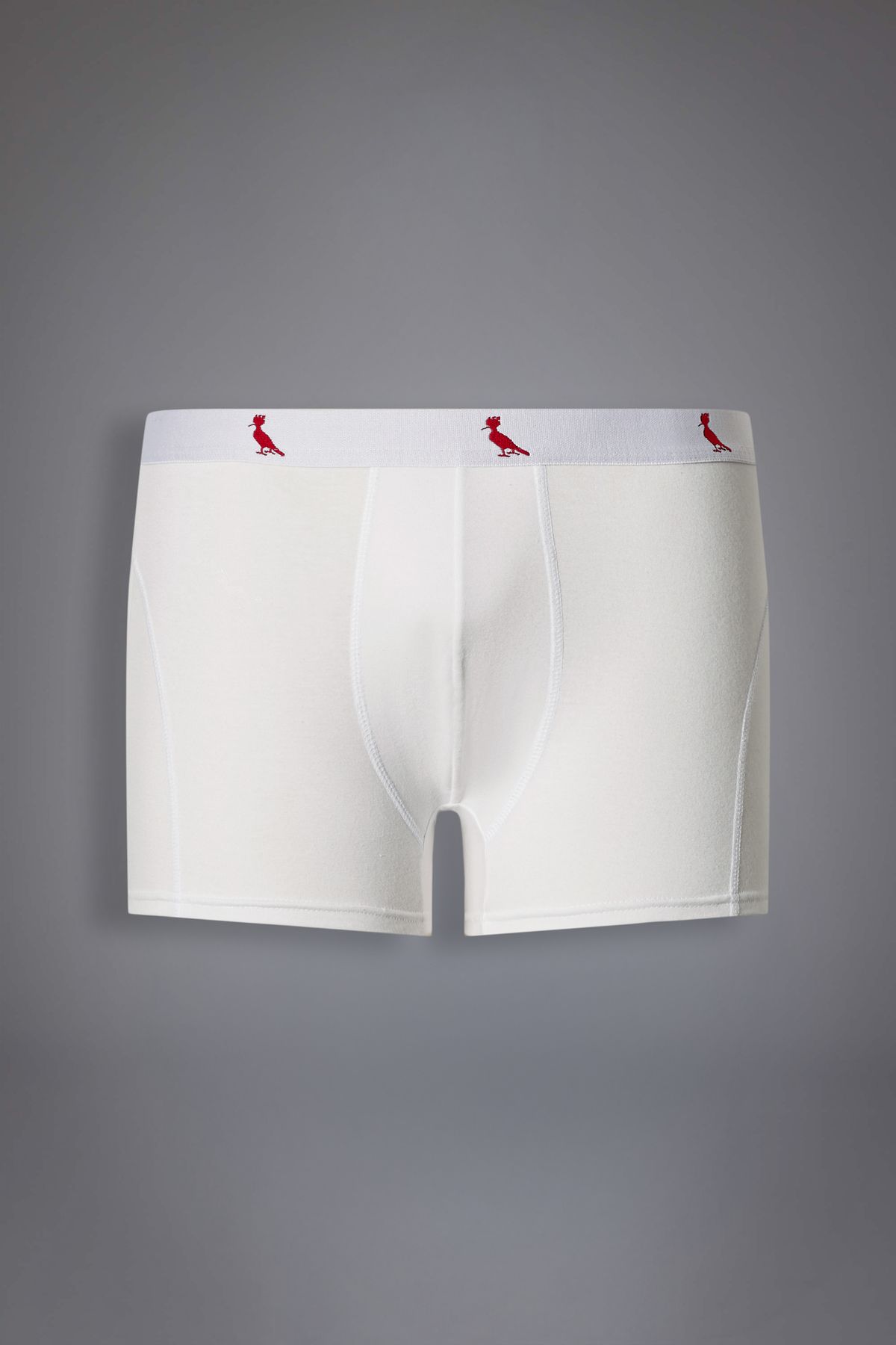 cueca boxer algodão reserva