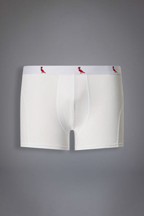 cueca boxer algodão reserva
