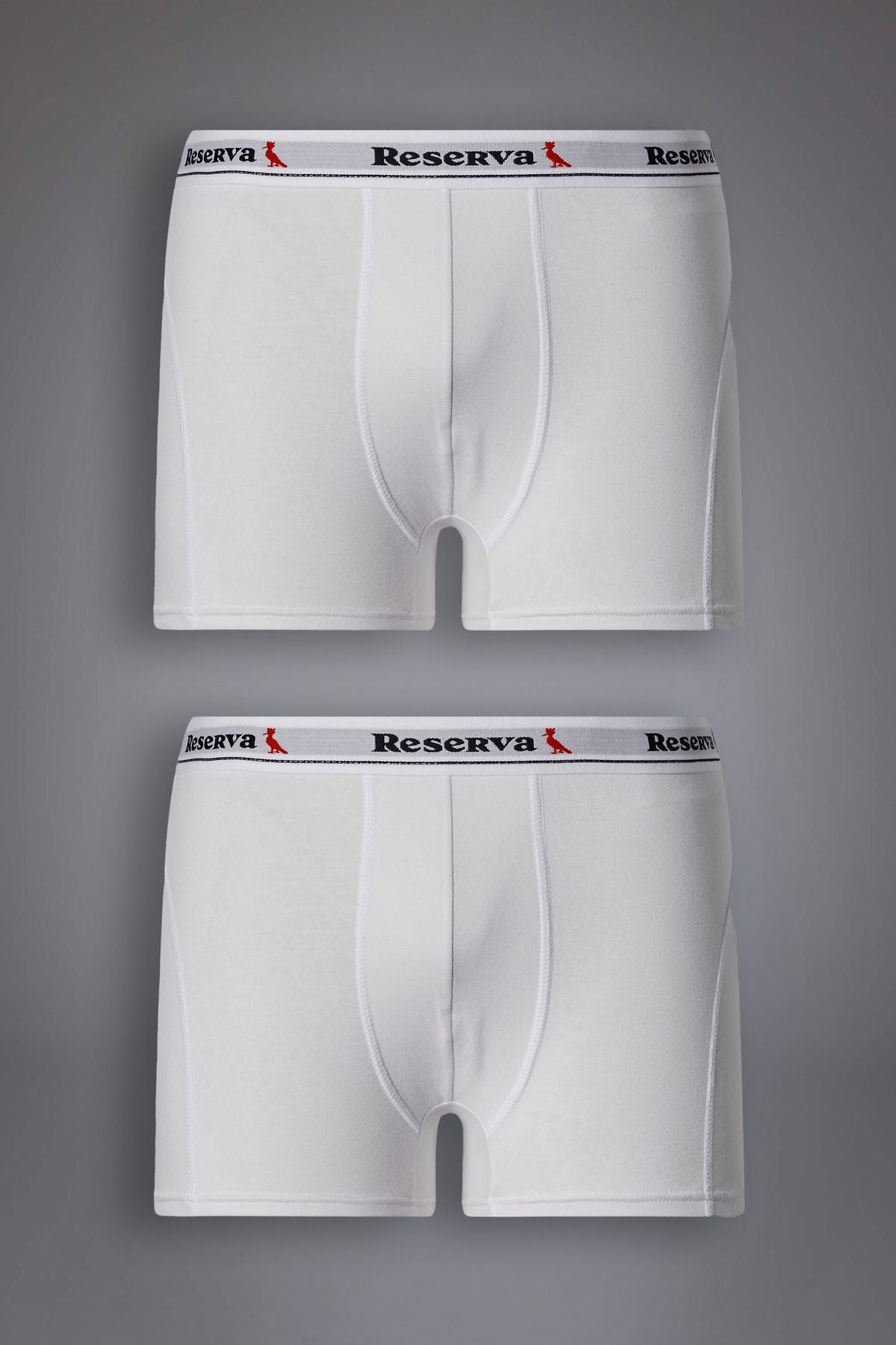 kit 2 cuecas boxer basica