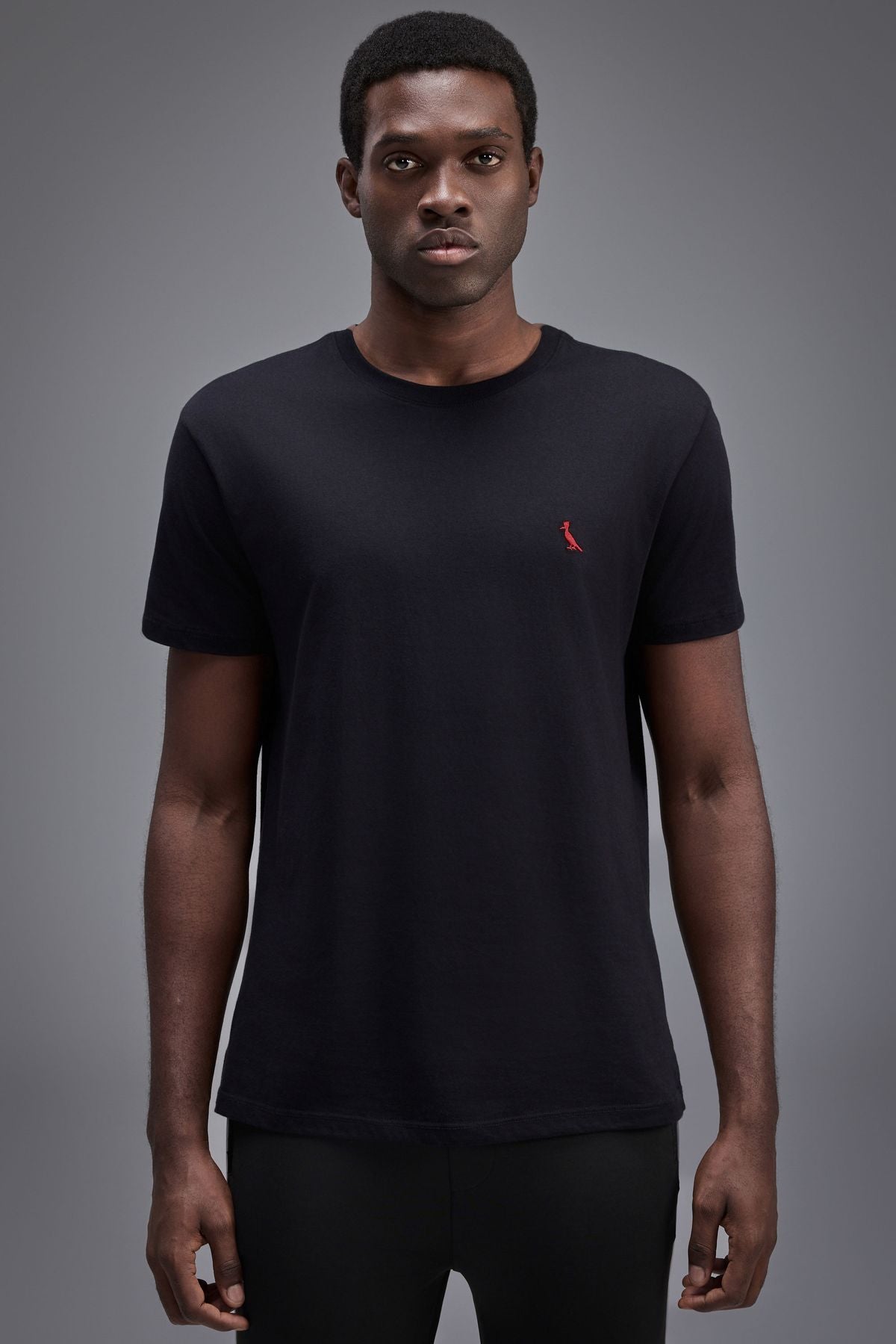 camiseta pima red bird